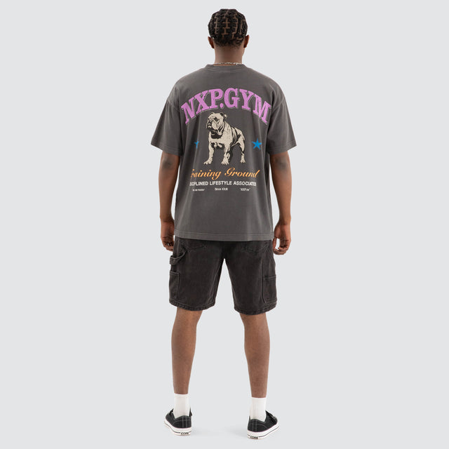 Parole Raptor Tee Pigment Asphalt Grey
