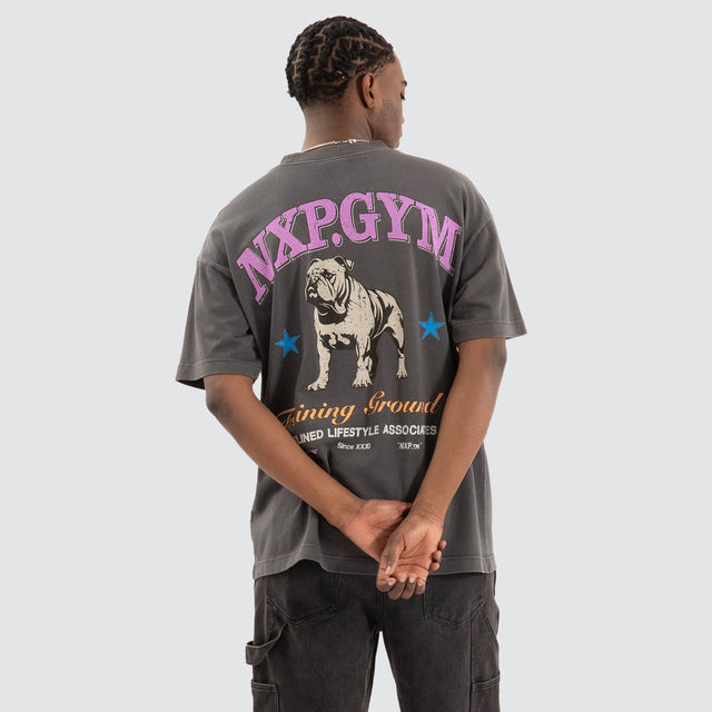 model wears Parole Raptor Tee Pigment Asphalt Grey T-Shirts Grey - image 1