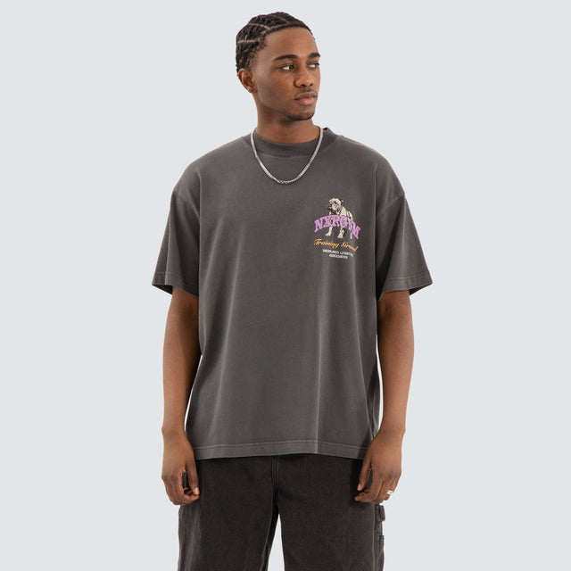 model wears Parole Raptor Tee Pigment Asphalt Grey T-Shirts Grey - image 2