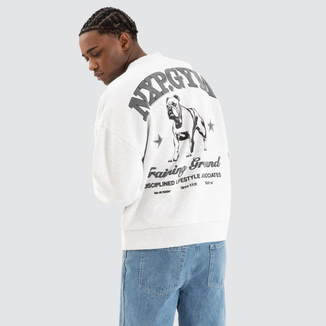 Brawler Box Fit Jumper Snow Marle Grey