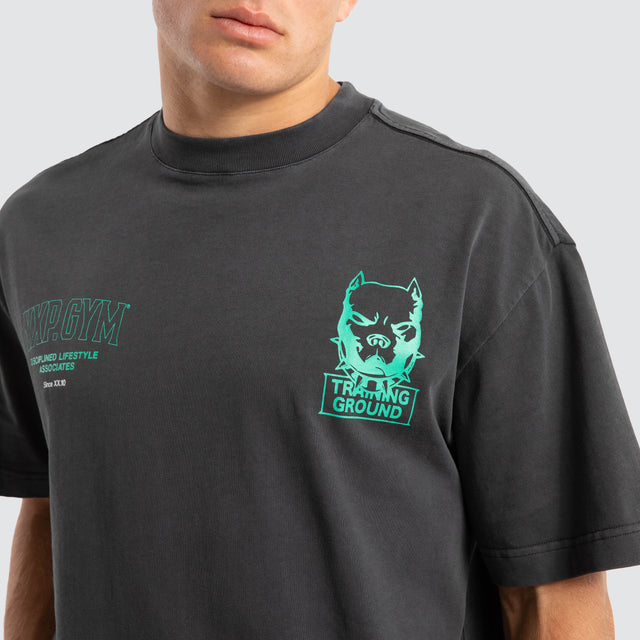 Trait Street Tee Pigment Asphalt