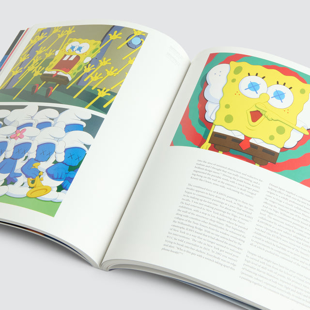 KAWS Hard Cover Book
