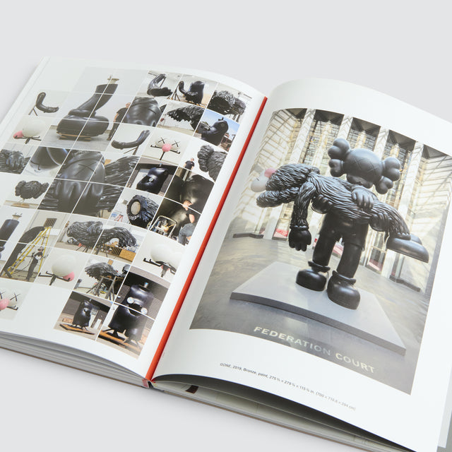 KAWS: WHAT PARTY Hard Cover Book