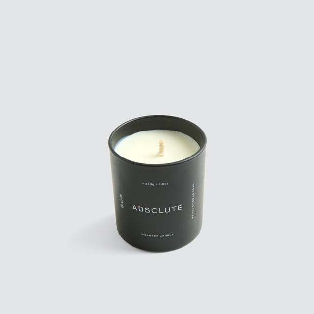 Absolute Scented Candle