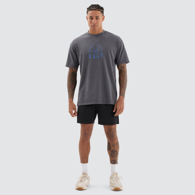 Stride Box Fit Tee Pigment Asphalt