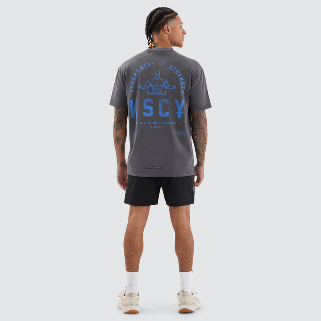 Stride Box Fit Tee Pigment Asphalt