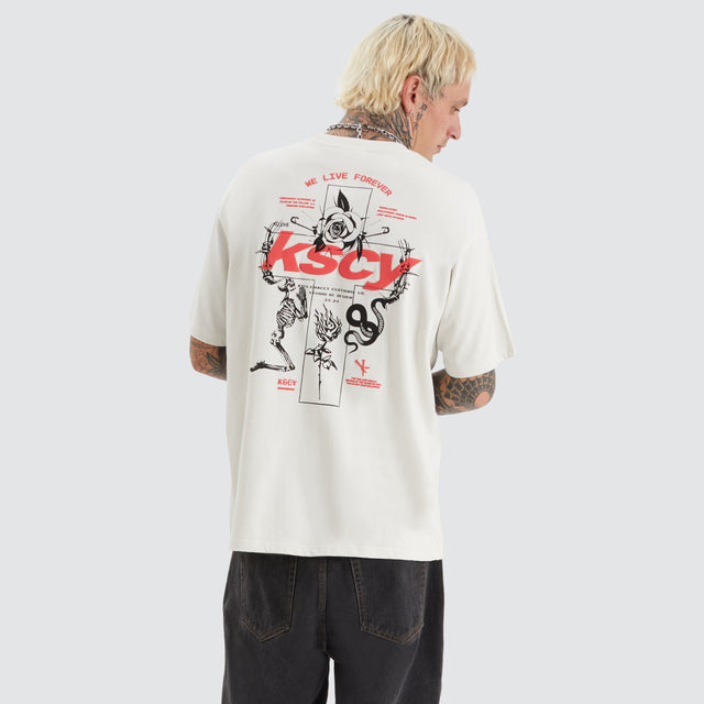 Echo Box Fit Tee Nimbus Cloud