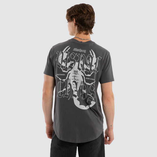 Model wears Arizona Dual Curved Tee Pigment Asphalt T-Shirts Grey – image 1