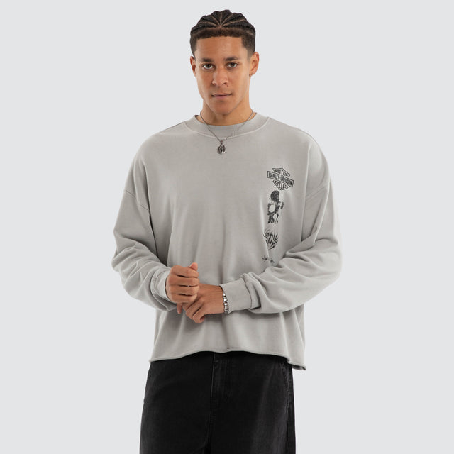 Member Box Fit Raw Hem Sweater Pigment Dove