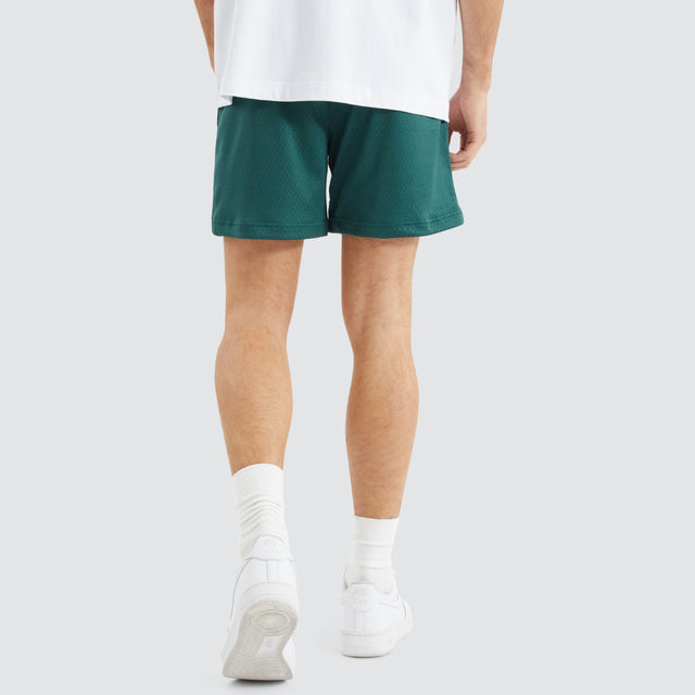 Trigger Mesh Shorts Sea Moss