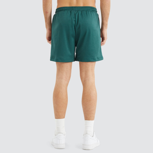 Trigger Mesh Shorts Sea Moss