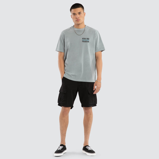 Collective Classic Tee Pigment Ultimate Grey