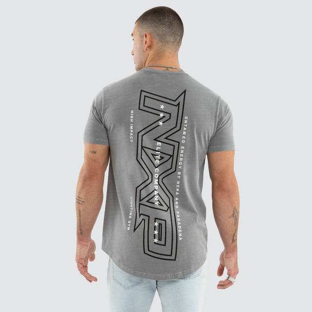 Slateborn Dual Curve Tee Pigment Wild Dove