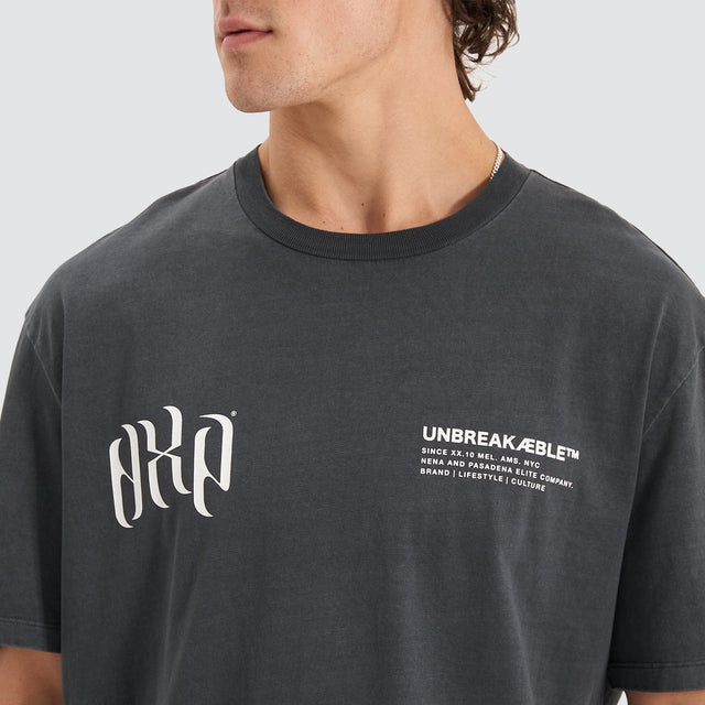 Nena and Pasadena Unbreakable Tee Pigment Asphalt