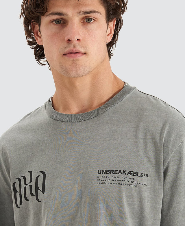 Nena & Pasadena Unbreakable Relaxed T-Shirt Pigment Neutral Grey