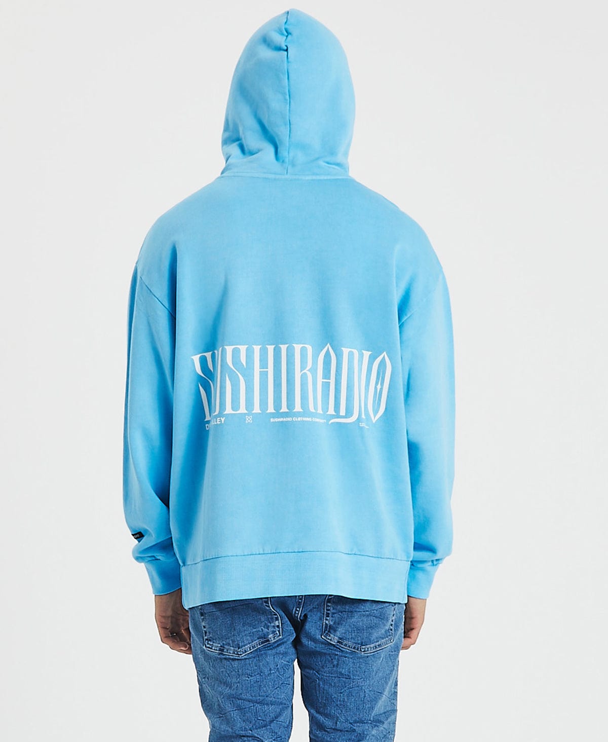 Baby blue thrasher on sale hoodie