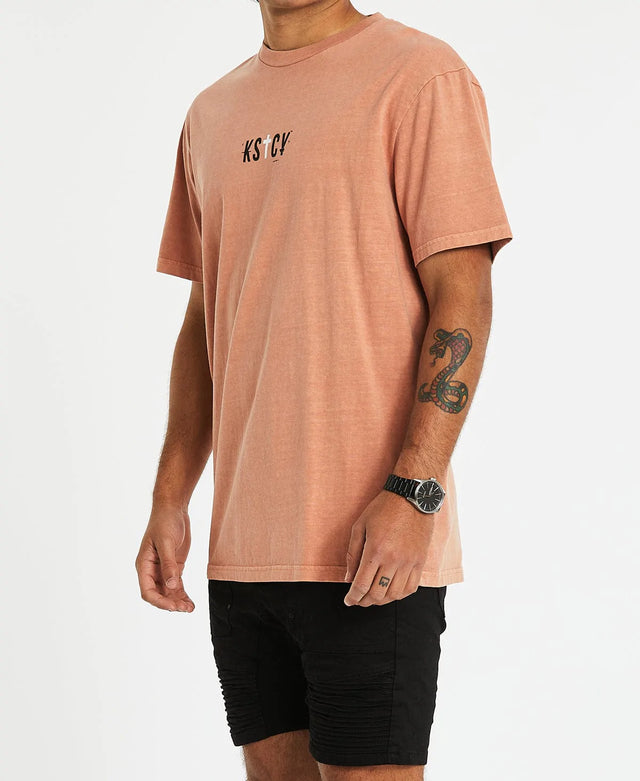Hollister Relaxed T Shirt Pigment Clay Orange Neverland Store