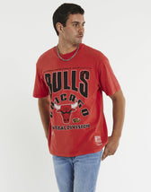 Division Arch Bulls T-Shirt Faded Red